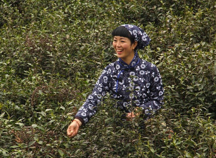 百丽直播 热门7